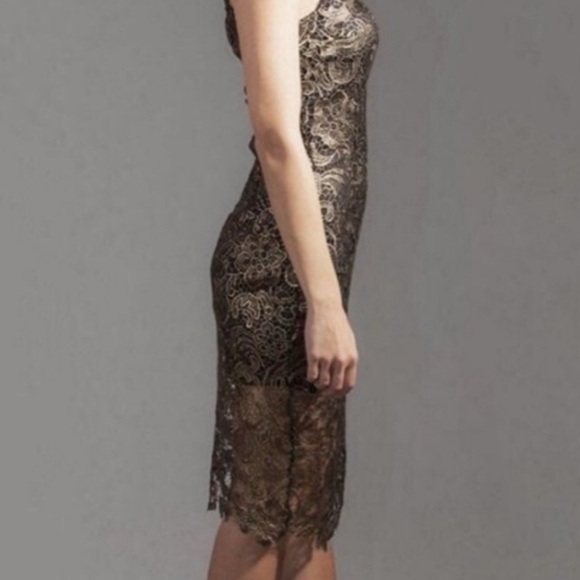 Sans Souci Lace Midi Dress Black perfect! - Picture 2 of 8